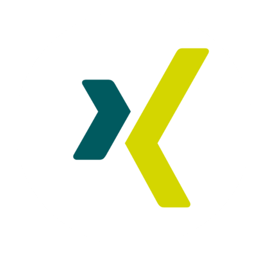 Xing Icon