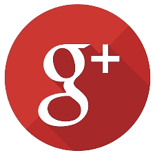 Google Icon